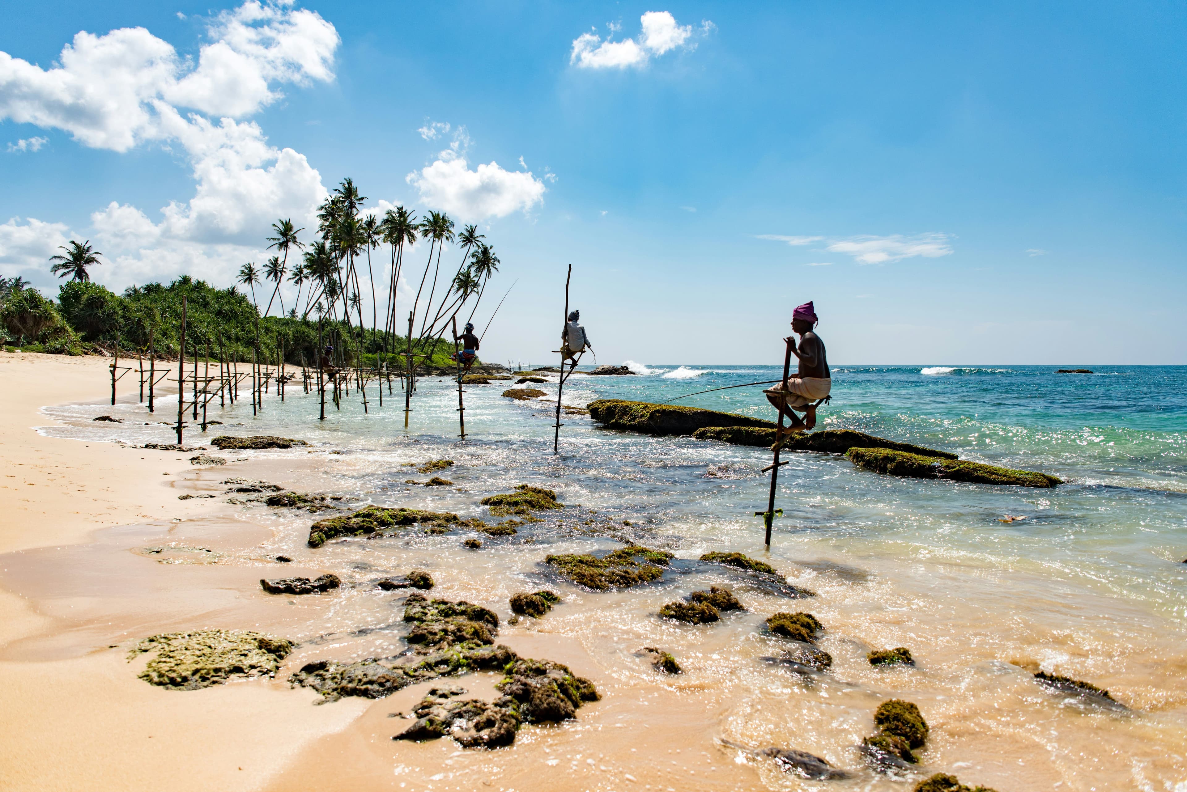 Authentic Sri Lankan travel experiences - cultural tours, wildlife safaris, and local adventures with Sensory Indulgences